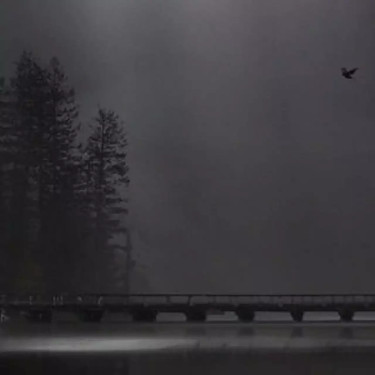 Разработчики Allison Road собираются превзойти P.T.