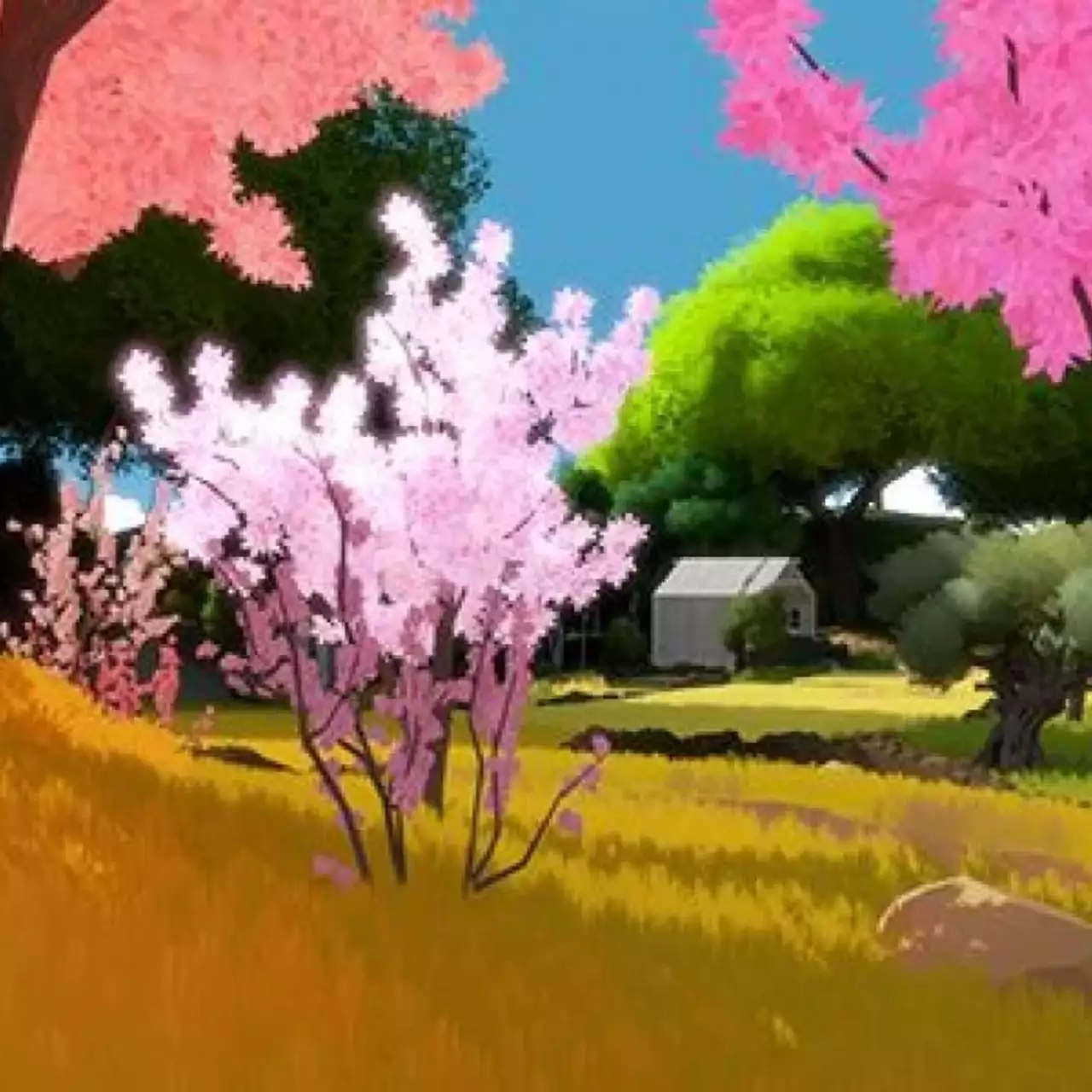 The Witness обогнала Braid по продажам