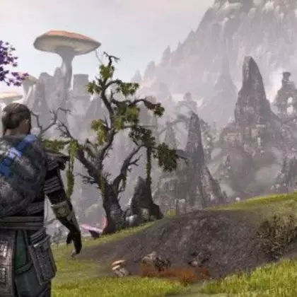 В Elder Scrolls Online можно будет строить дома и ходить в парикмахерскую