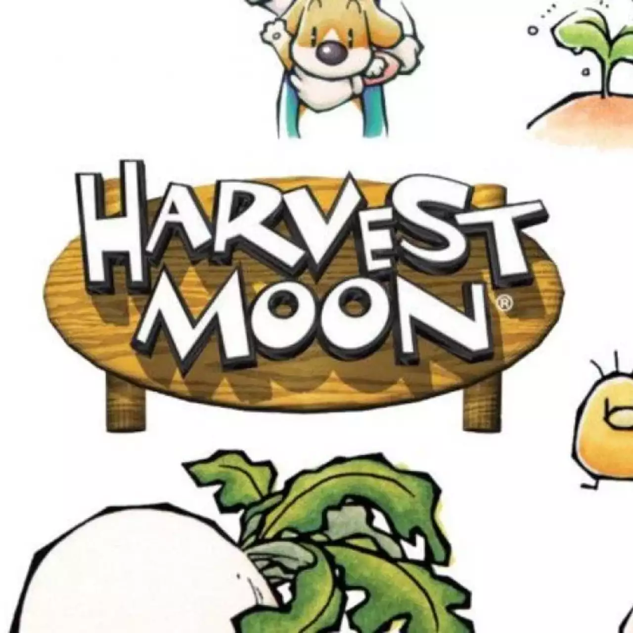 Автор Harvest Moon скоро анонсирует свой новый проект