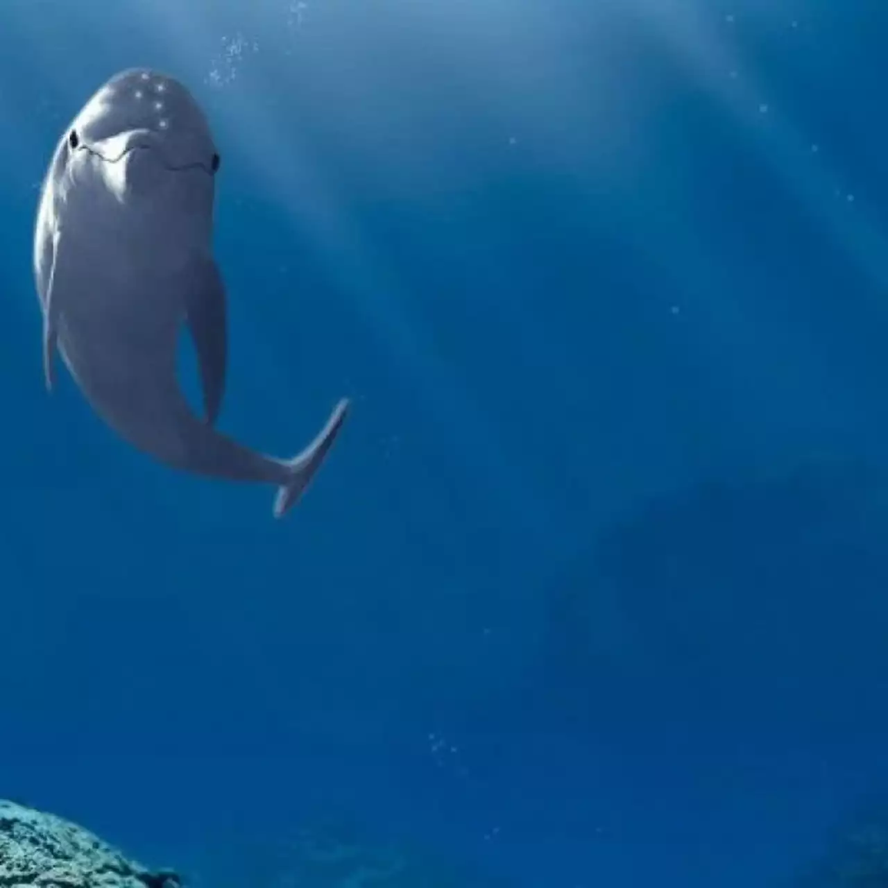Создатель Ecco the Dolphin вернул права на свою игру