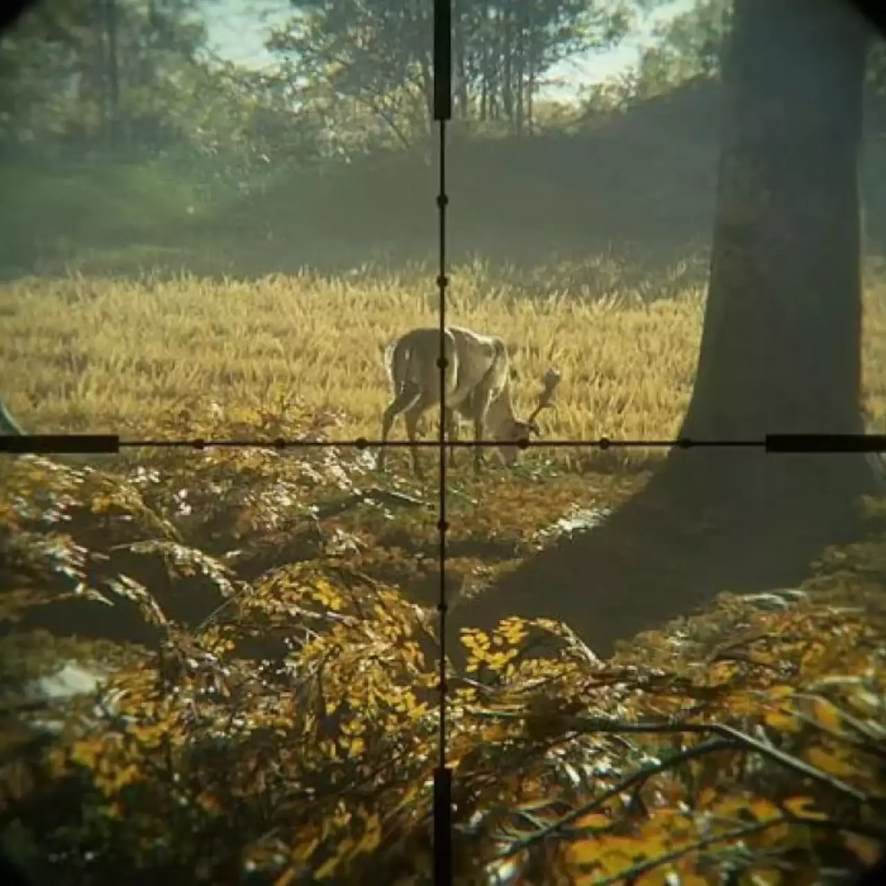 Симулятор охоты theHunter: Call of the Wild выйдет на консолях