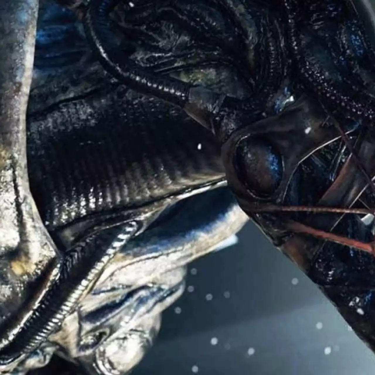 Eurogamer опроверг слухи об Alien: Isolation 2