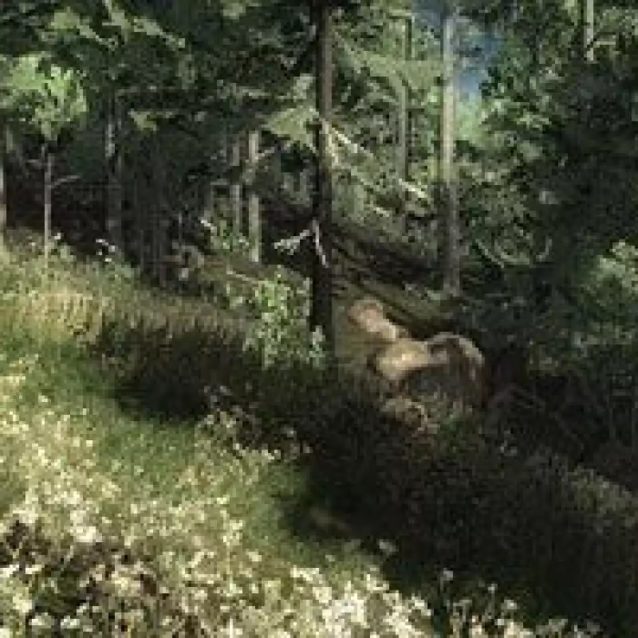 Обзор theHunter