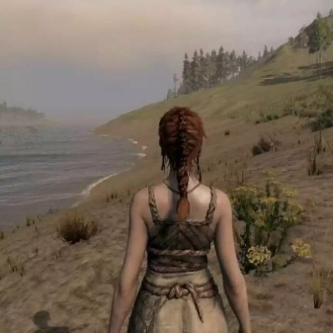 В сети появился новый трейлер Life is Feudal: MMO