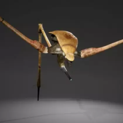 На первых скриншотах фанатской Half-Life 3 показали 3D-модель страйдера