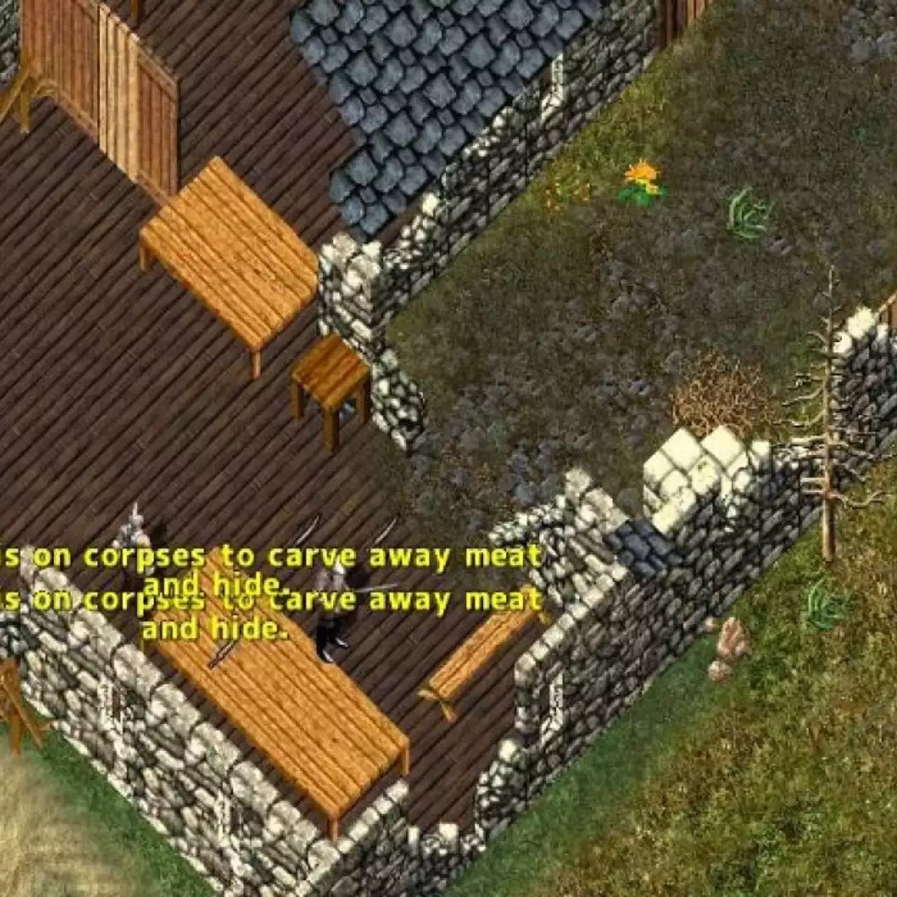Разработчики Ultima Online не будут запускать ванильный сервер