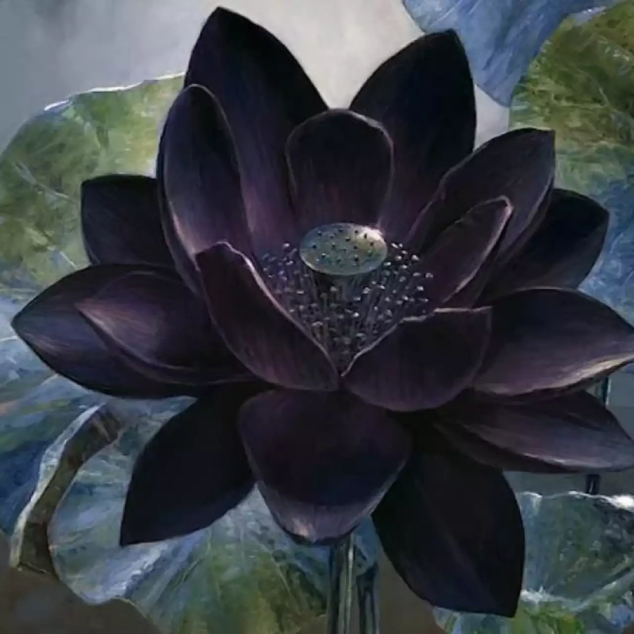 Редкую карту для Magic: The Gathering продали за $166 тыс (11 млн рублей) на аукционе