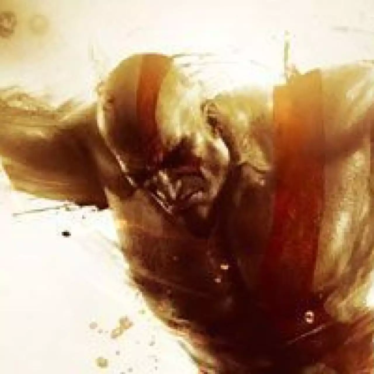 God of War Saga и inFamous Collection