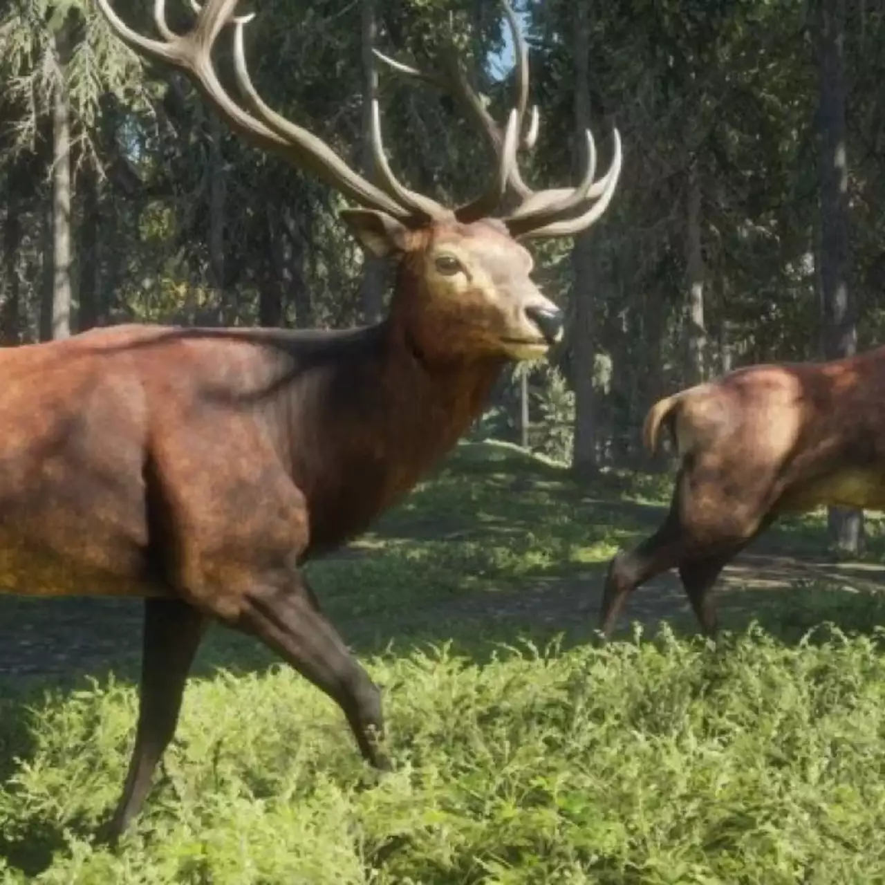Халява: симулятор охоты theHunter: Call of the Wild стал бесплатным в Steam на несколько дней