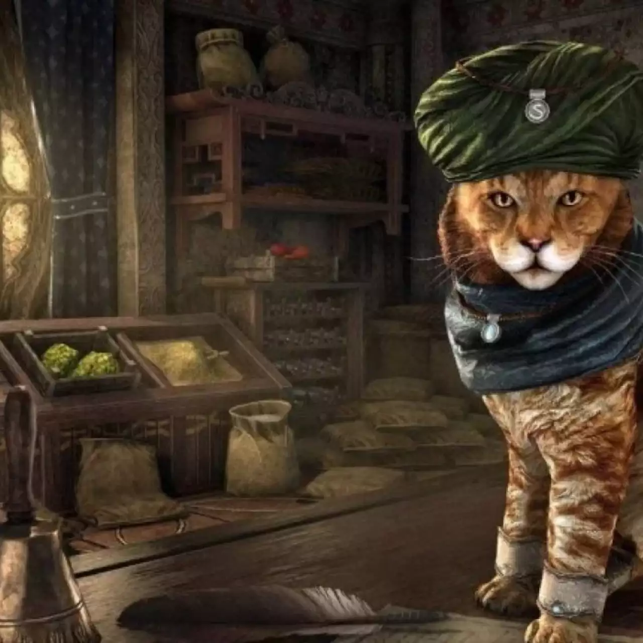 Bethesda поможет уличным котам найти новый дом