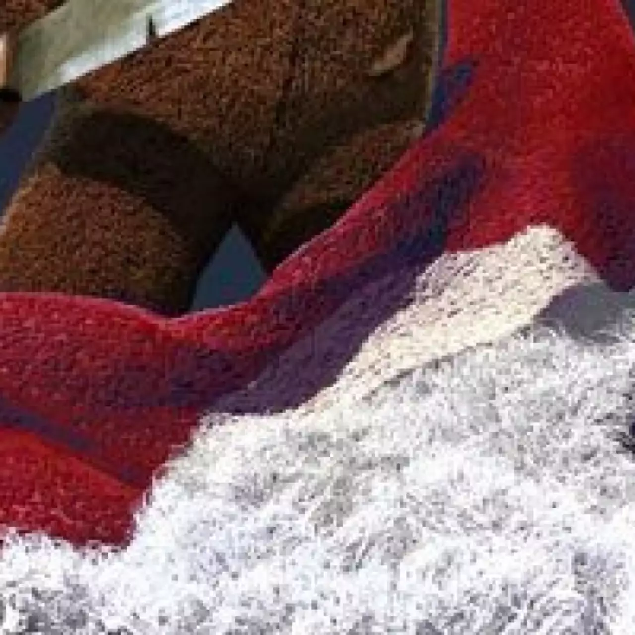 Сиквел Naughty Bear должен выйти в октябре