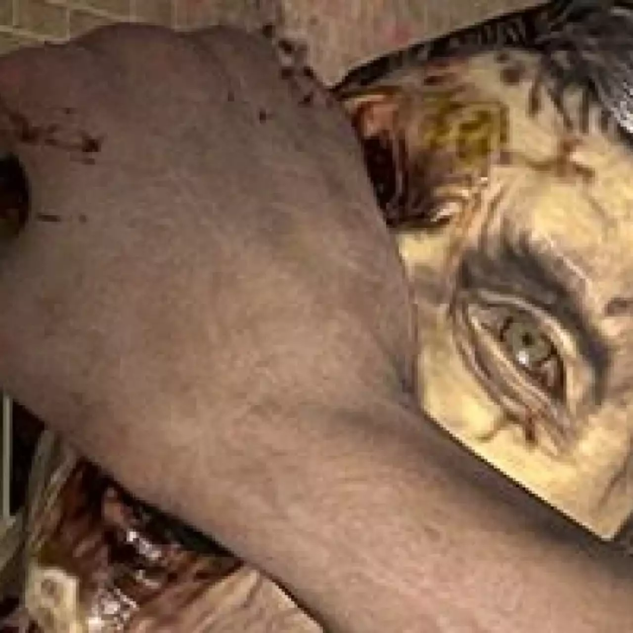 Появился новый трейлер The Walking Dead: Survival Instinct