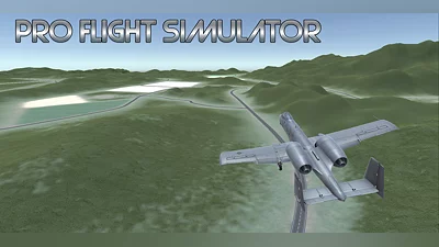 Pro Flight Simulator (Nintendo Switch) (Account) [Global] [Standard]