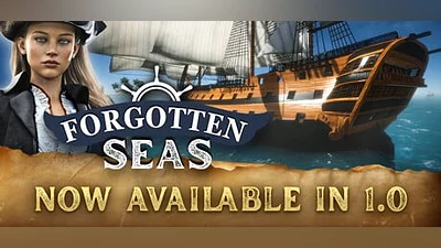 Forgotten Seas (Steam key)