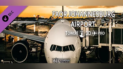 Tower!3D Pro - FAOR airport