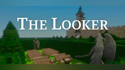 The Looker