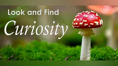 Look and Find - Curiosity
