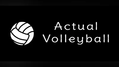 Actual Volleyball