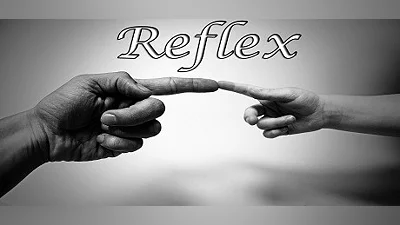 Сборник Reflex