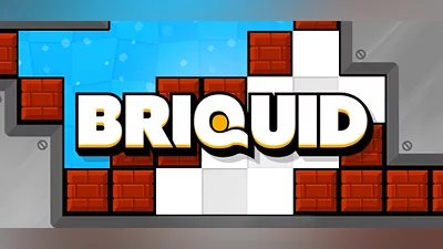Сборник Briquid