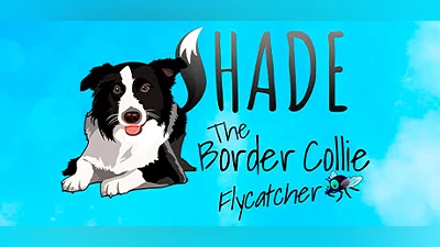Сборник SHADE The Border Collie Flycatcher