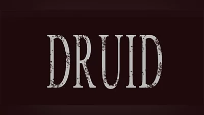 Сборник DRUID