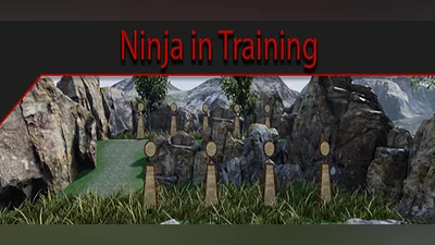 Сборник Ninja in Training