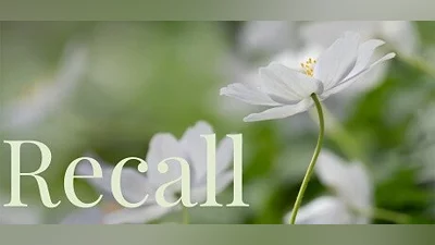 Сборник Recall