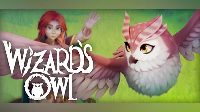 Сборник Wizards Owl: Magic Delivery