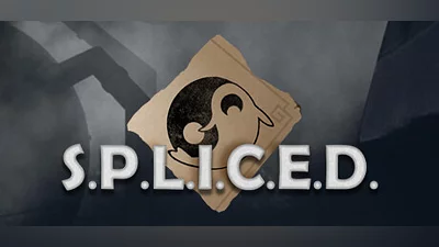 Сборник S.P.L.I.C.E.D.