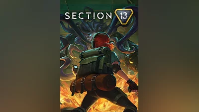Section 13