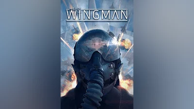 Project Wingman standard edition на steam