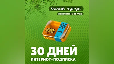 Интернот-подписка для Zenless Zone Zero