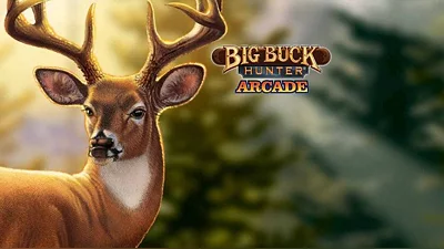 Big Buck Hunter Arcade (Steam)