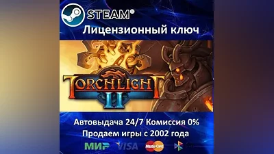 Torchlight II Steam Ключ Активации РФ+СНГ+МИР АКЦИЯ  Карты