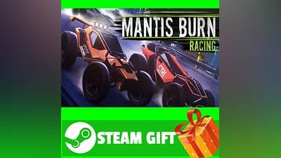 ВСЕ СТРАНЫ+РОССИЯ Mantis Burn Racing STEAM GIFT