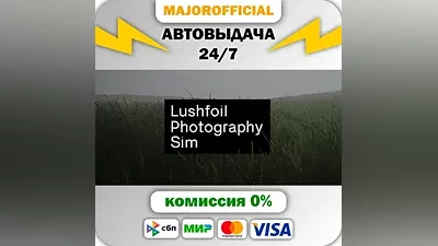 Lushfoil Photography Sim АВТОДОСТАВКА Steam Gift