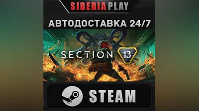 Section 13 STEAM АВТО RU/UA/KZ/СНГ