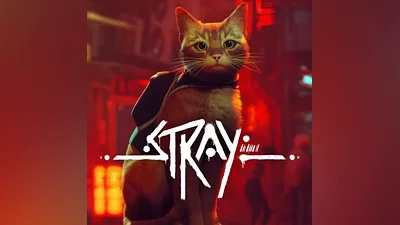 STRAY STEAM КЛЮЧ