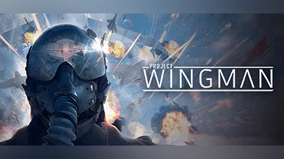 Project Wingman (PC) [Japan] [Standard]