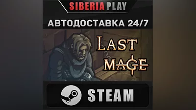 Last Mage STEAM АВТОДОСТАВКА RU/KZ/UA/СНГ