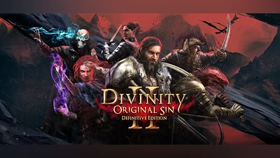 Divinity: Original Sin 2 Steam Гифт Казахстан