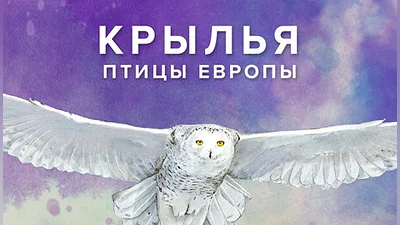 Wingspan: European Expansion