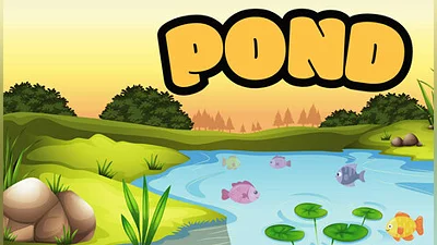 Pond
