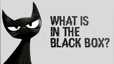 What is in the Black Box?