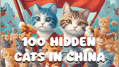 100 Hidden Cats in China?