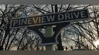Pineview Drive (PC) [Global] [Standard]