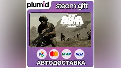 Arma 2: Complete Collection Steam Gift / Россия + МИР / АВТО